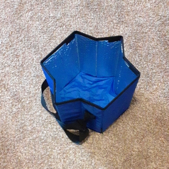 Picnic Time Other - Picnic Time Blue Fold-up Insulated Tote